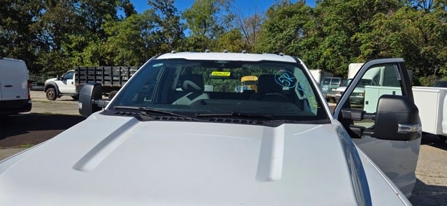 2026 Ford Super Duty F-250 SRW XL 2WD Reg Cab 8' Box