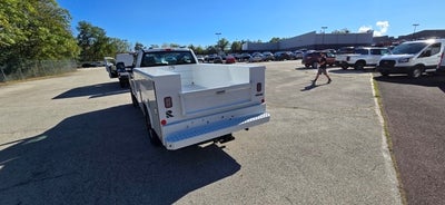 2026 Ford Super Duty F-350 SRW XL 4WD Reg Cab 145 WB 60 CA