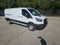 2025 Ford Transit Cargo Van T-250 148 Low Rf 9070 GVWR RWD